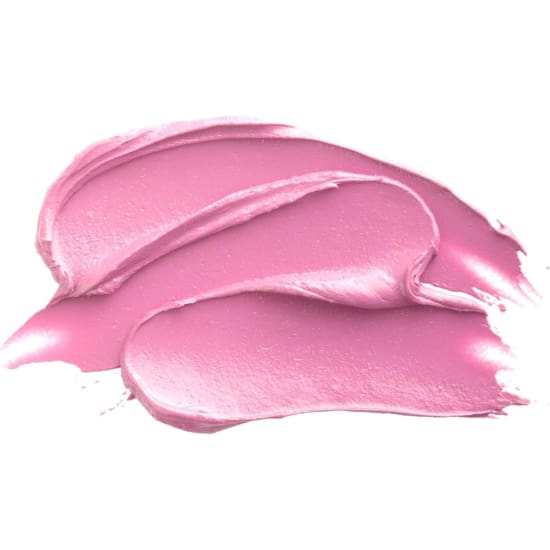 BURT'S BEES 100% Natural Lip Crayon CAROLINA COAST 423 pink NEW burts3